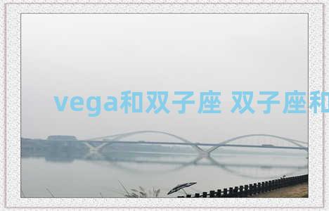 vega和双子座 双子座和模型